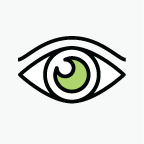 Vision Insurance